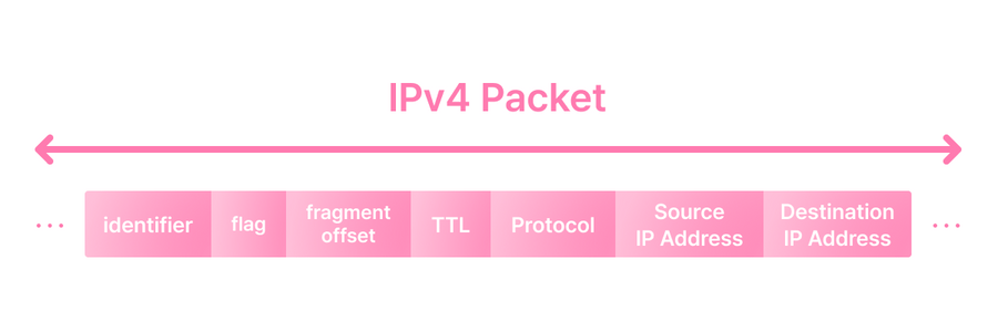 IPv4 패킷