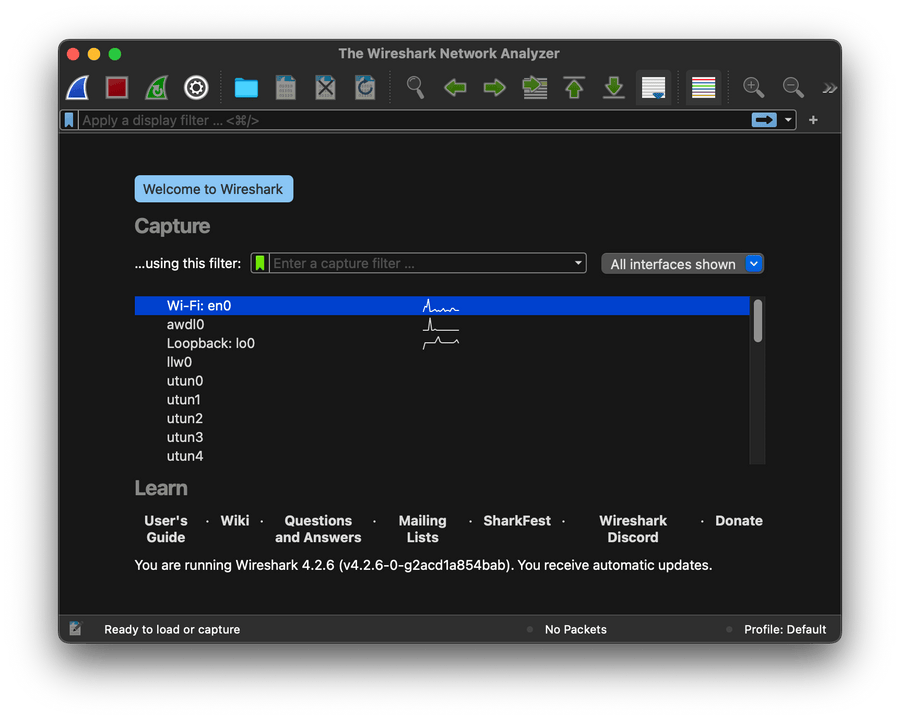 wireshark main