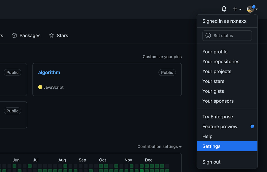 github settings menu