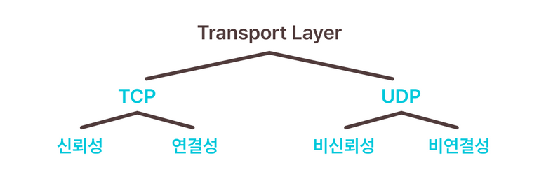 transport layer protocol